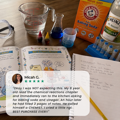 The Wacky Chemistry Lab: A Fun Chemistry Comic Guide